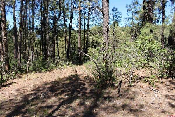 2.43 Acres of Residential Land for Sale in Pagosa Springs, Colorado