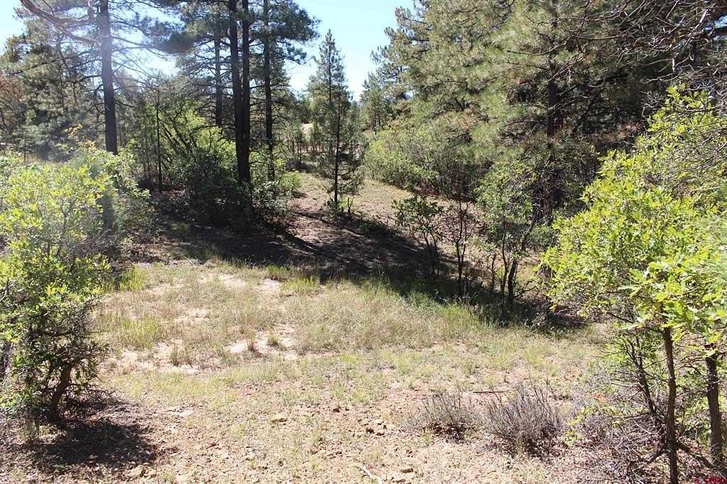 2.19 Acres of Residential Land for Sale in Pagosa Springs, Colorado