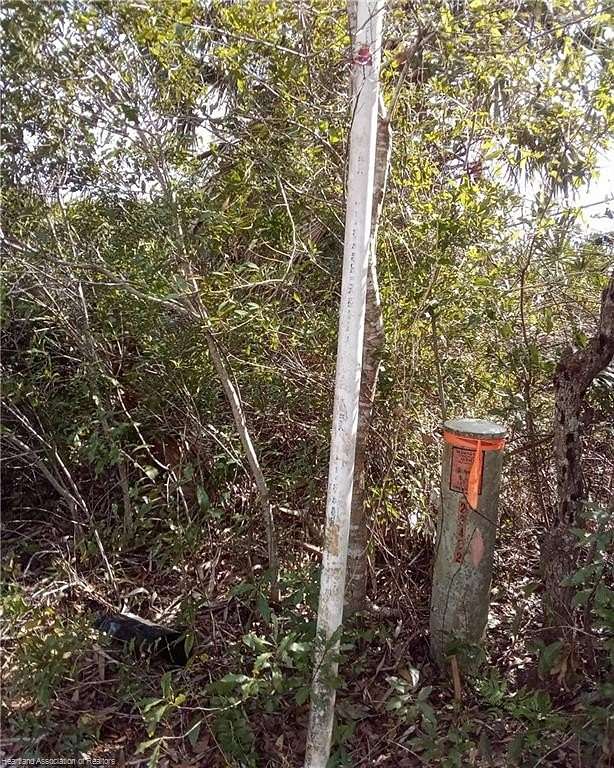 0.47 Acres of Residential Land for Sale in Lake Placid, Florida