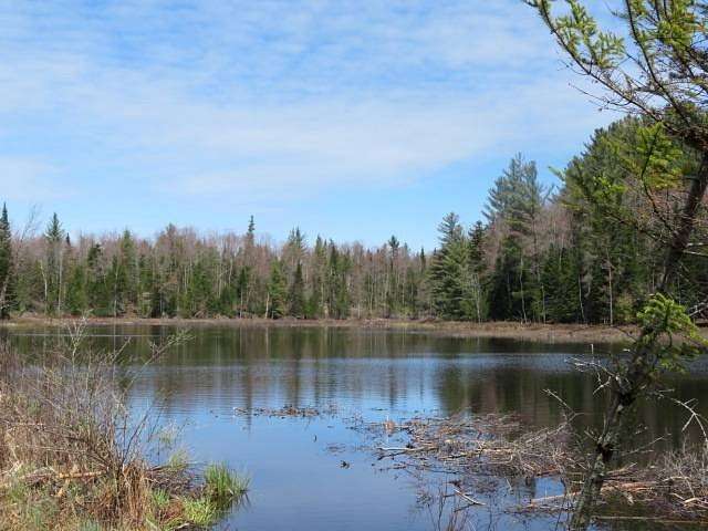 100 Acres of Recreational Land for Sale in Port Leyden, New York