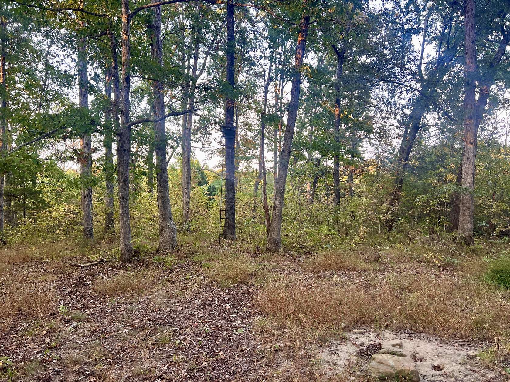 59.5 Acres of Recreational Land for Sale in Owingsville, Kentucky