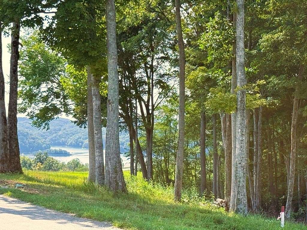 1.19 Acres of Land for Sale in Hilham, Tennessee