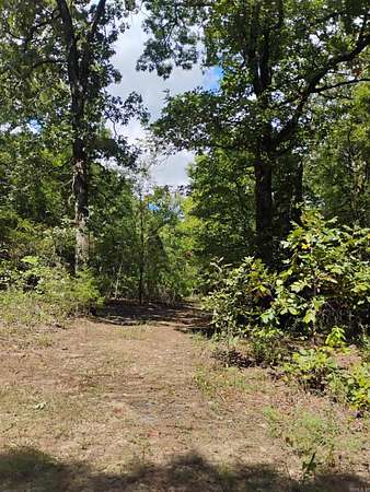 10 Acres of Land for Sale in Mena, Arkansas