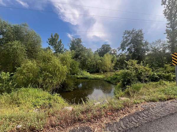 40 Acres of Recreational Land for Sale in Bluffton, Arkansas