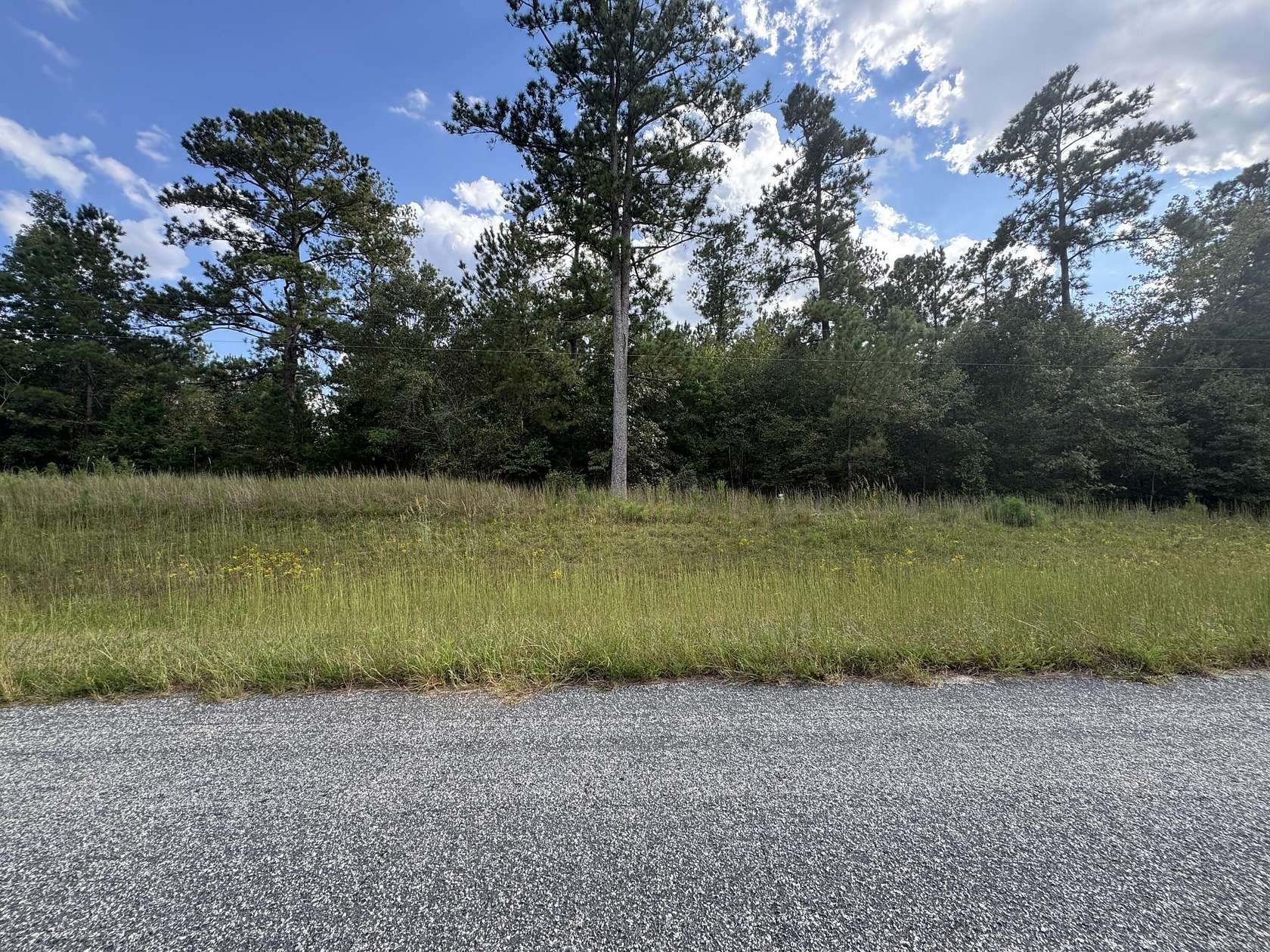 4 Acres of Land for Sale in Lincolnton, Georgia