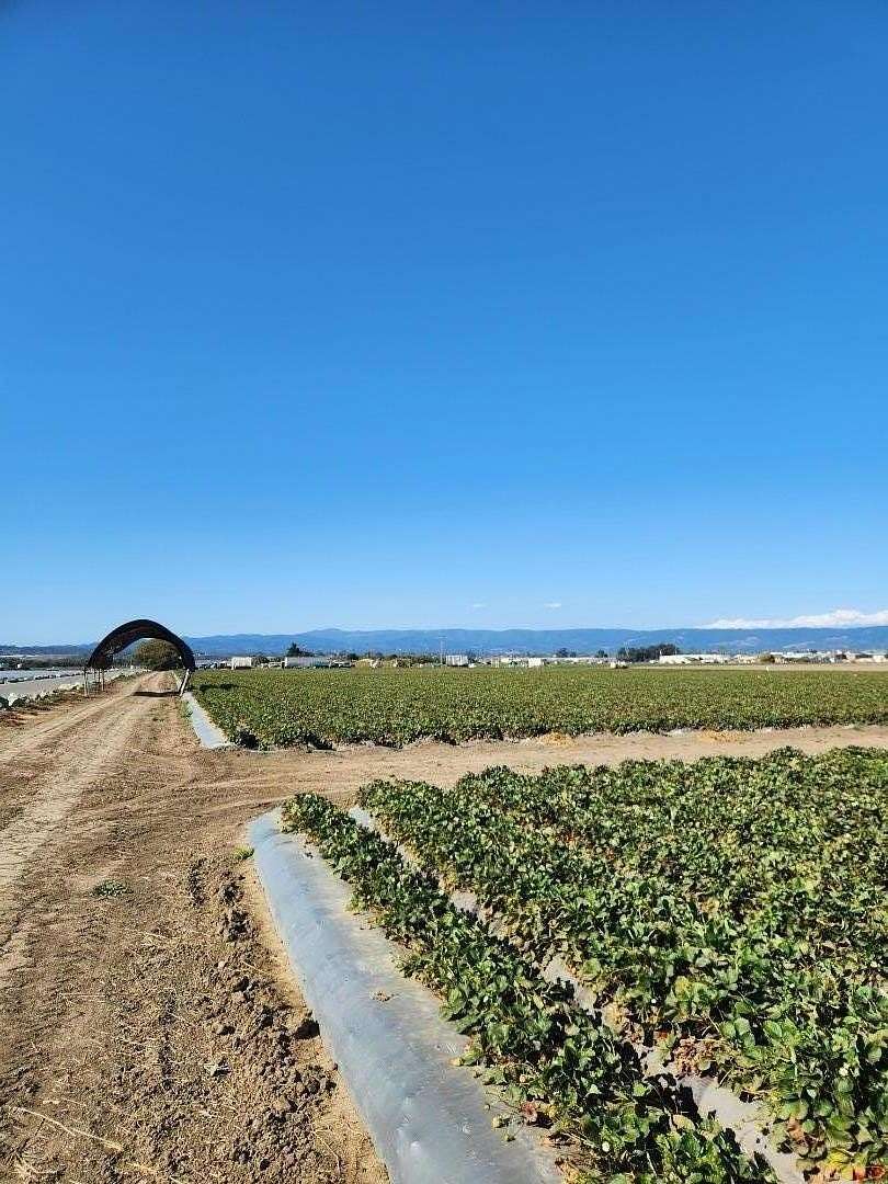 9.69 Acres of Commercial Land for Sale in Watsonville, California