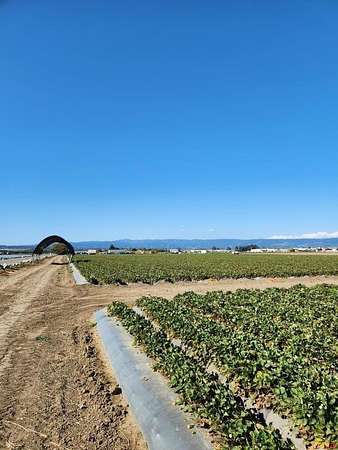 9.69 Acres of Commercial Land for Sale in Watsonville, California