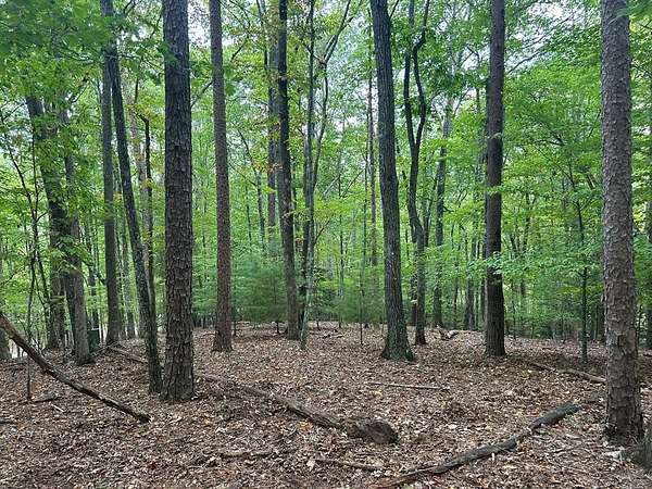 17 Acres of Land for Sale in Blairsville, Georgia