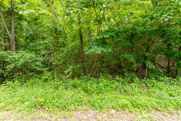 0.32 Acres of Residential Land for Sale in Horseshoe Bend, Arkansas