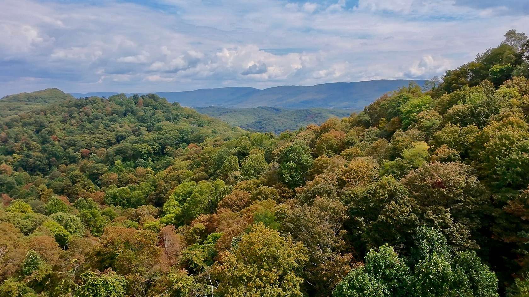 159 Acres of Recreational Land for Sale in Tazewell, Virginia