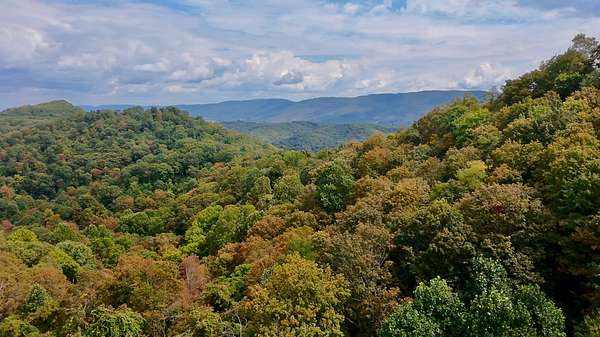 159 Acres of Recreational Land for Sale in Tazewell, Virginia