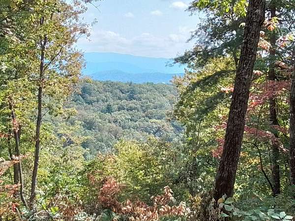 71.6 Acres of Recreational Land & Farm for Sale in Murphy, North Carolina