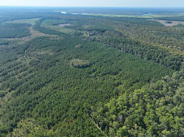 100 Acres of Recreational Land for Sale in White Oak, Georgia
