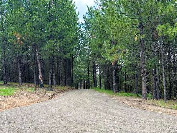 8.66 Acres of Land for Sale in Cascade, Idaho