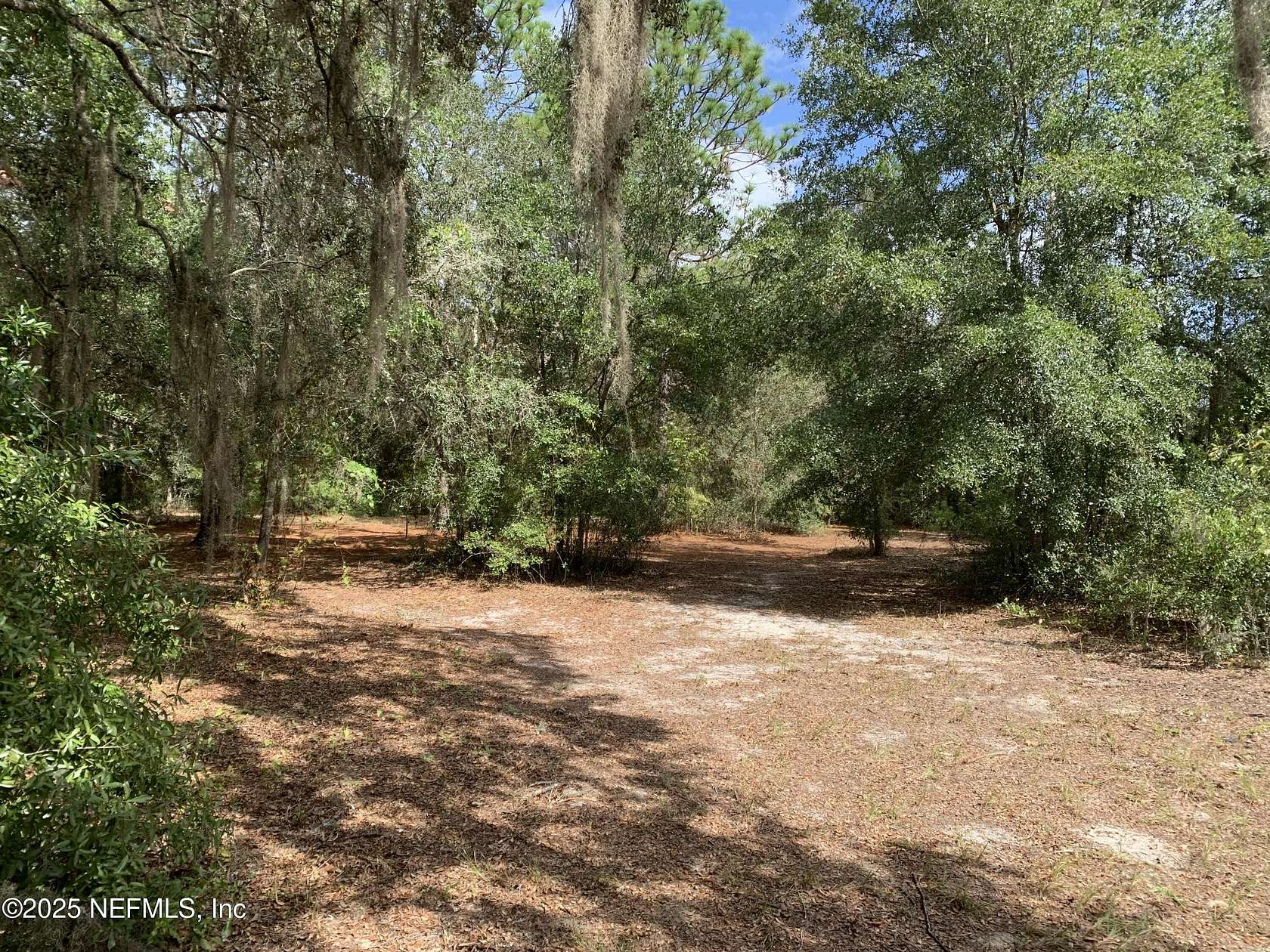 0.46 Acres of Land for Sale in Hawthorne, Florida