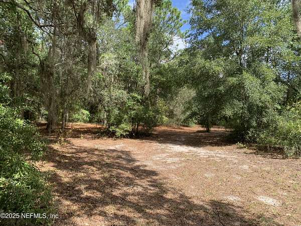 0.46 Acres of Land for Sale in Hawthorne, Florida