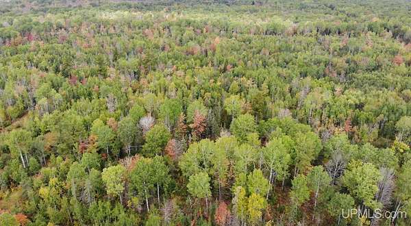 10 Acres of Recreational Land for Sale in Ewen, Michigan