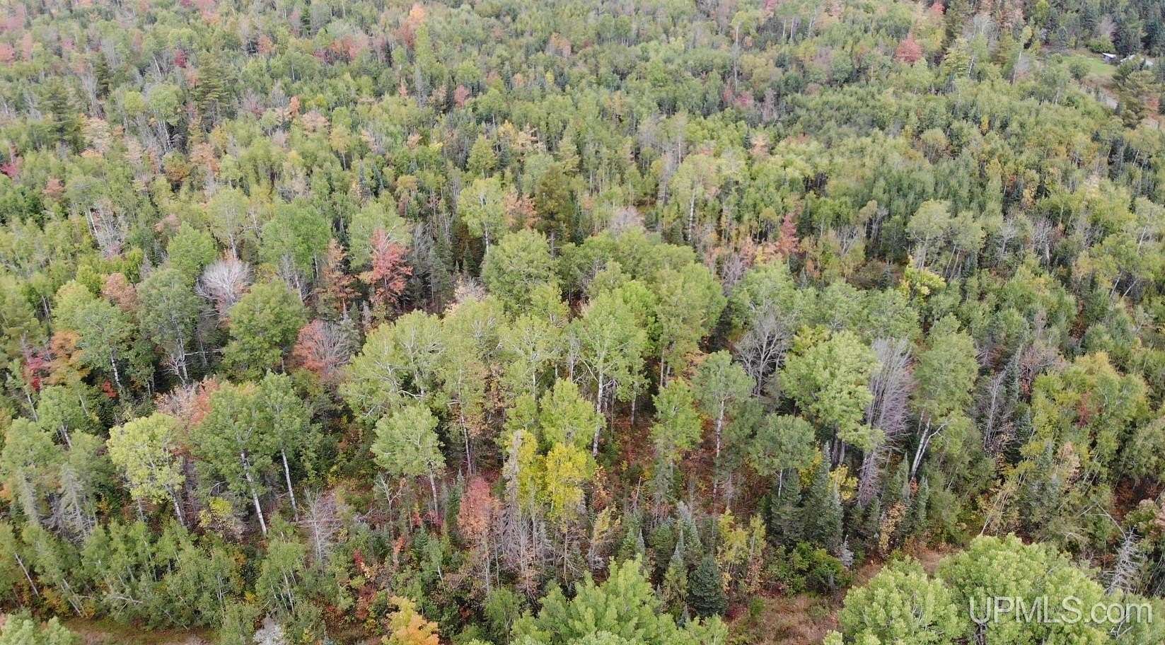 10 Acres of Recreational Land for Sale in Ewen, Michigan