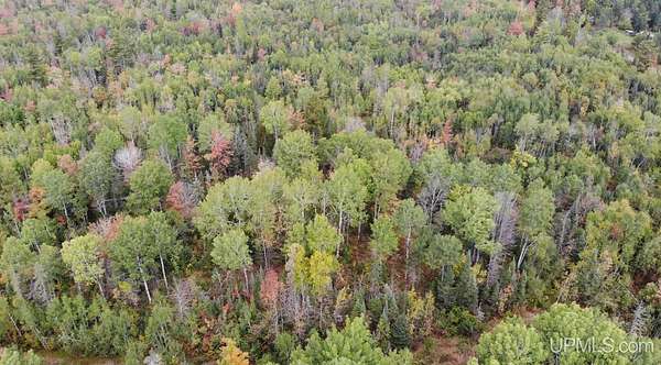10 Acres of Recreational Land for Sale in Ewen, Michigan