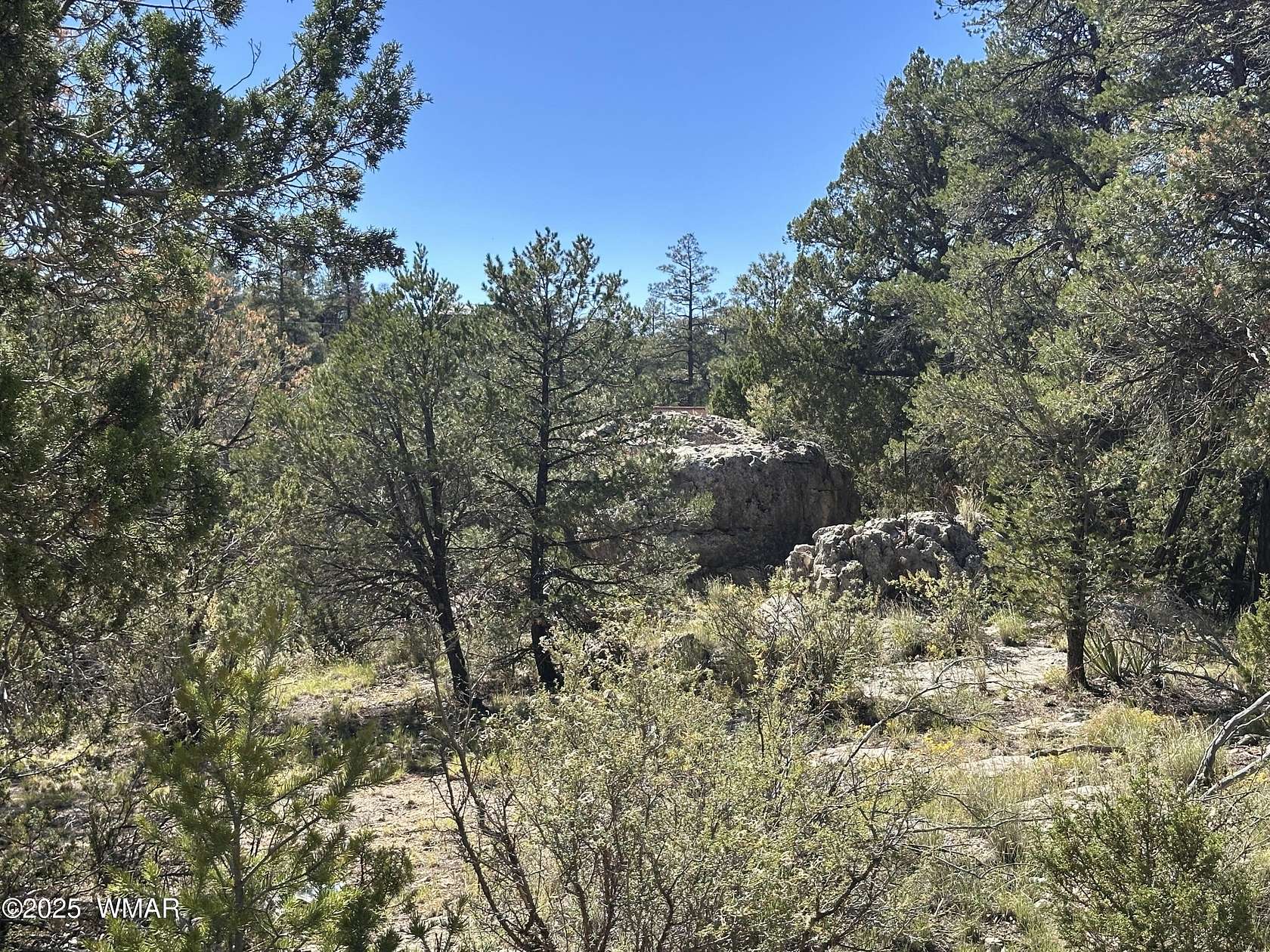 1 Acre of Residential Land for Sale in Overgaard, Arizona