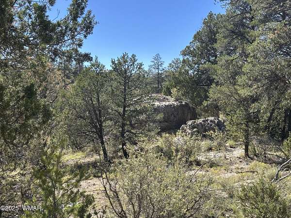 1 Acre of Residential Land for Sale in Overgaard, Arizona