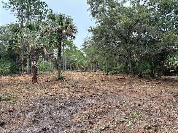 5 Acres of Land for Sale in Clewiston, Florida
