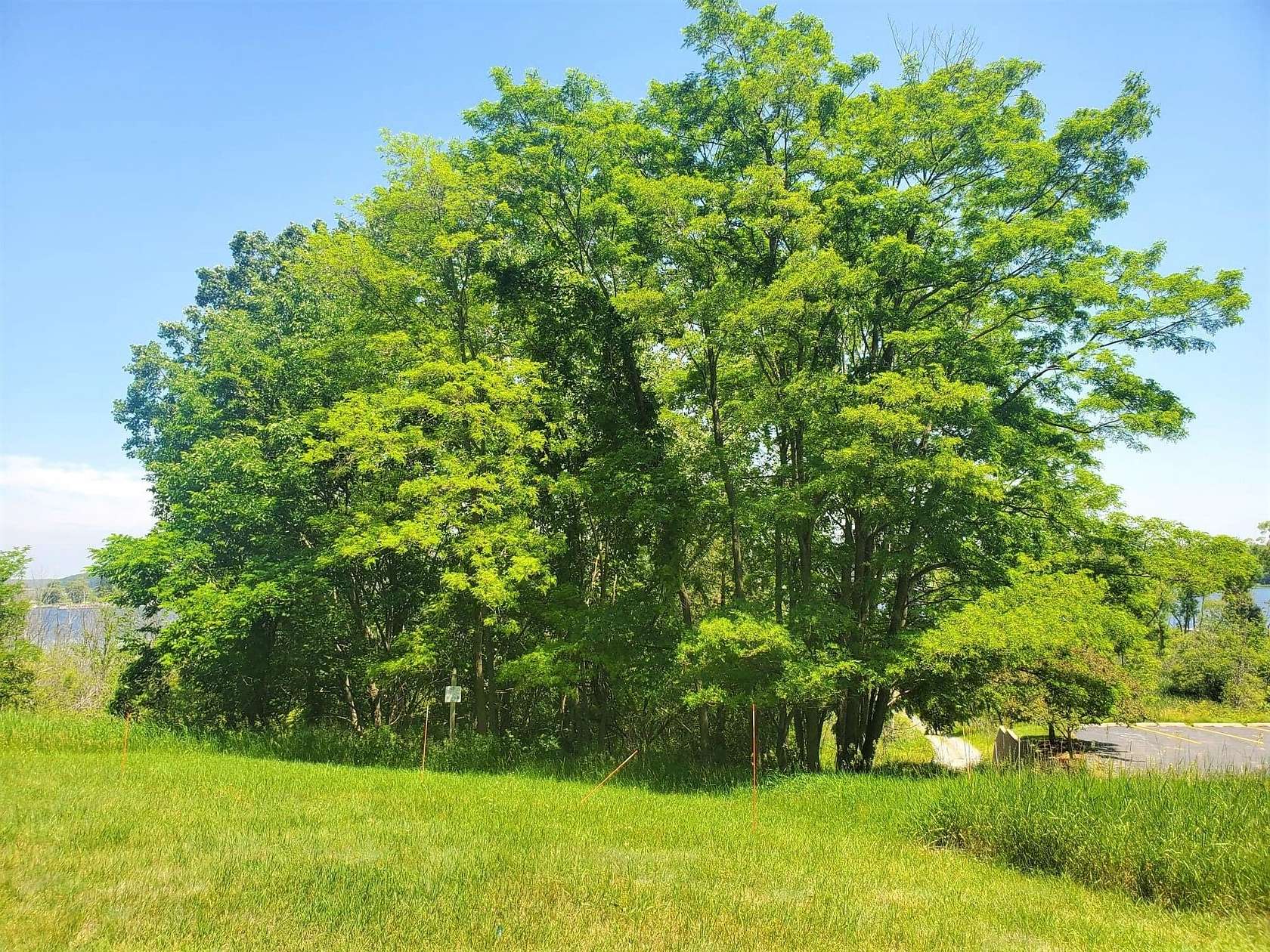 0.98 Acres of Land for Sale in Montague, Michigan