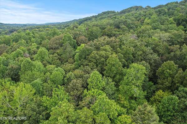 1.39 Acres of Residential Land for Sale in Knoxville, Tennessee
