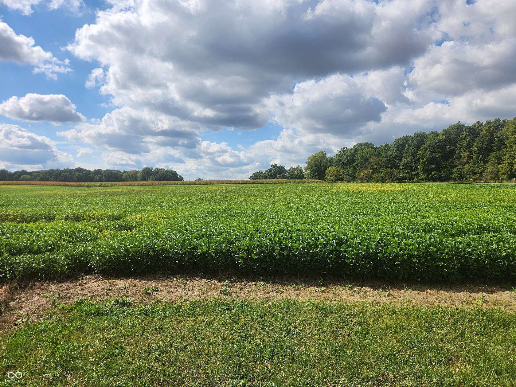 2 Acres of Residential Land for Sale in Franklin, Indiana