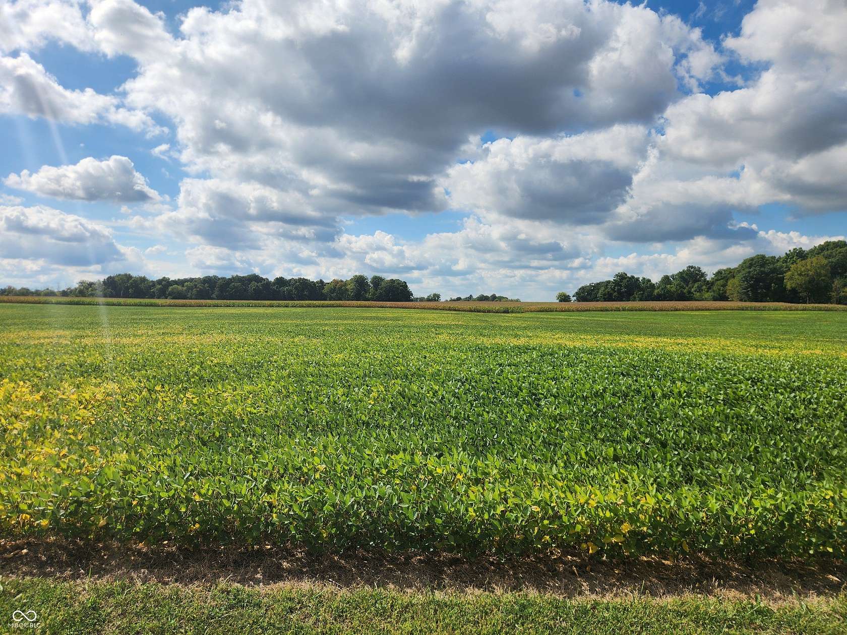 2 Acres of Residential Land for Sale in Franklin, Indiana