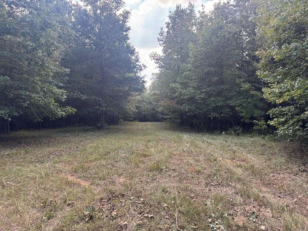80 Acres of Recreational Land for Sale in Vardaman, Mississippi