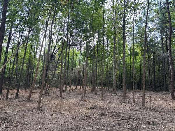 34.2 Acres of Land for Sale in Thaxton, Mississippi
