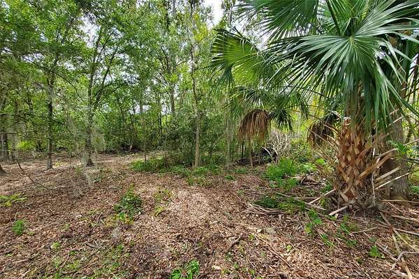 9.85 Acres of Land for Sale in Polk City, Florida