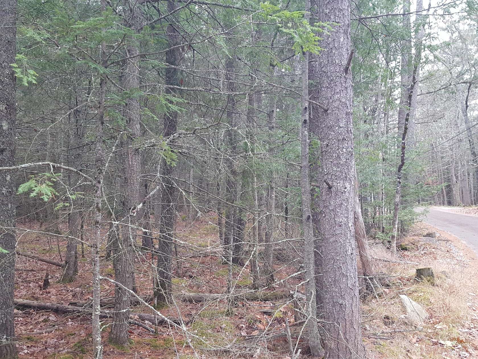 1.26 Acres of Land for Sale in Windham Town, Maine