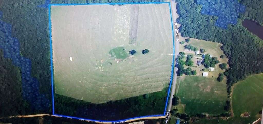 39.5 Acres of Agricultural Land for Sale in Coffee Springs, Alabama