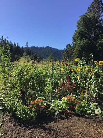 0.72 Acres of Land for Sale in Glendale, Oregon