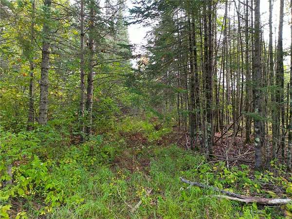 80 Acres of Land for Sale in Dairyland, Wisconsin