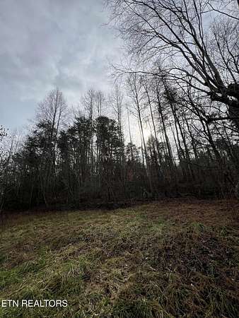 56 Acres of Land for Sale in Madisonville, Tennessee