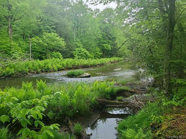 24 Acres of Land for Sale in Mongaup Valley, New York