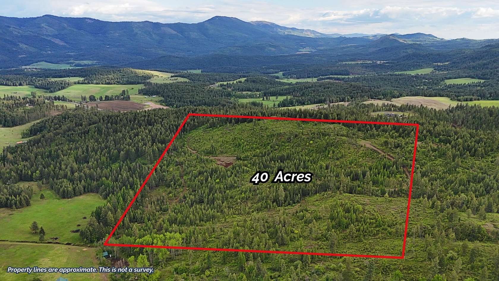 40.3 Acres of Land for Sale in Addy, Washington