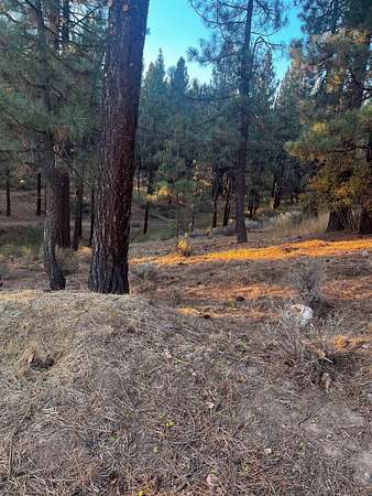 0.14 Acres of Residential Land for Sale in Portola, California