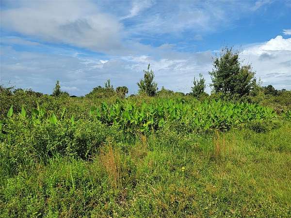 1.25 Acres of Residential Land for Sale in Okeechobee, Florida