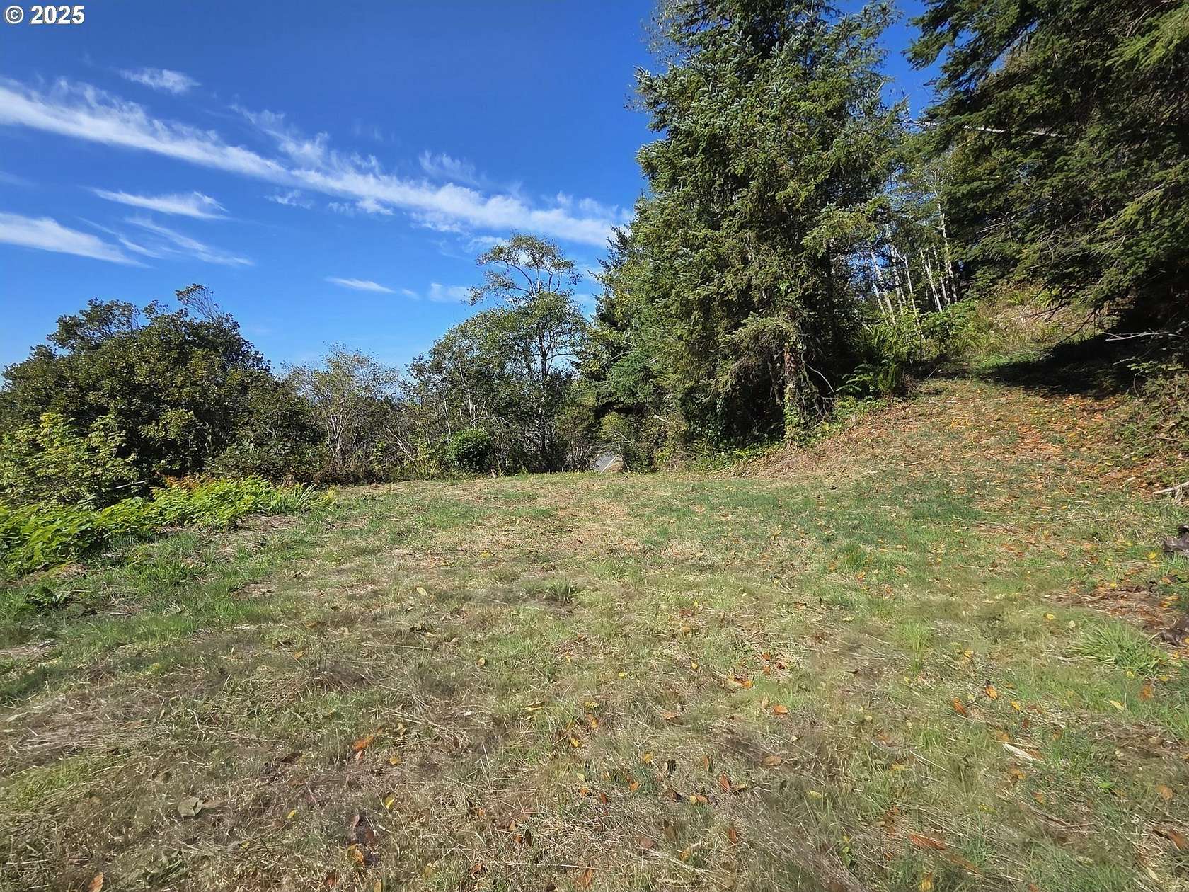 1 Acre of Residential Land for Sale in Nesika Beach, Oregon