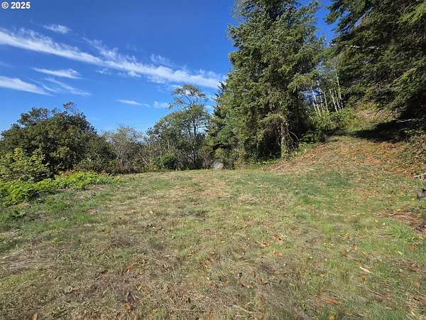 1 Acre of Residential Land for Sale in Nesika Beach, Oregon