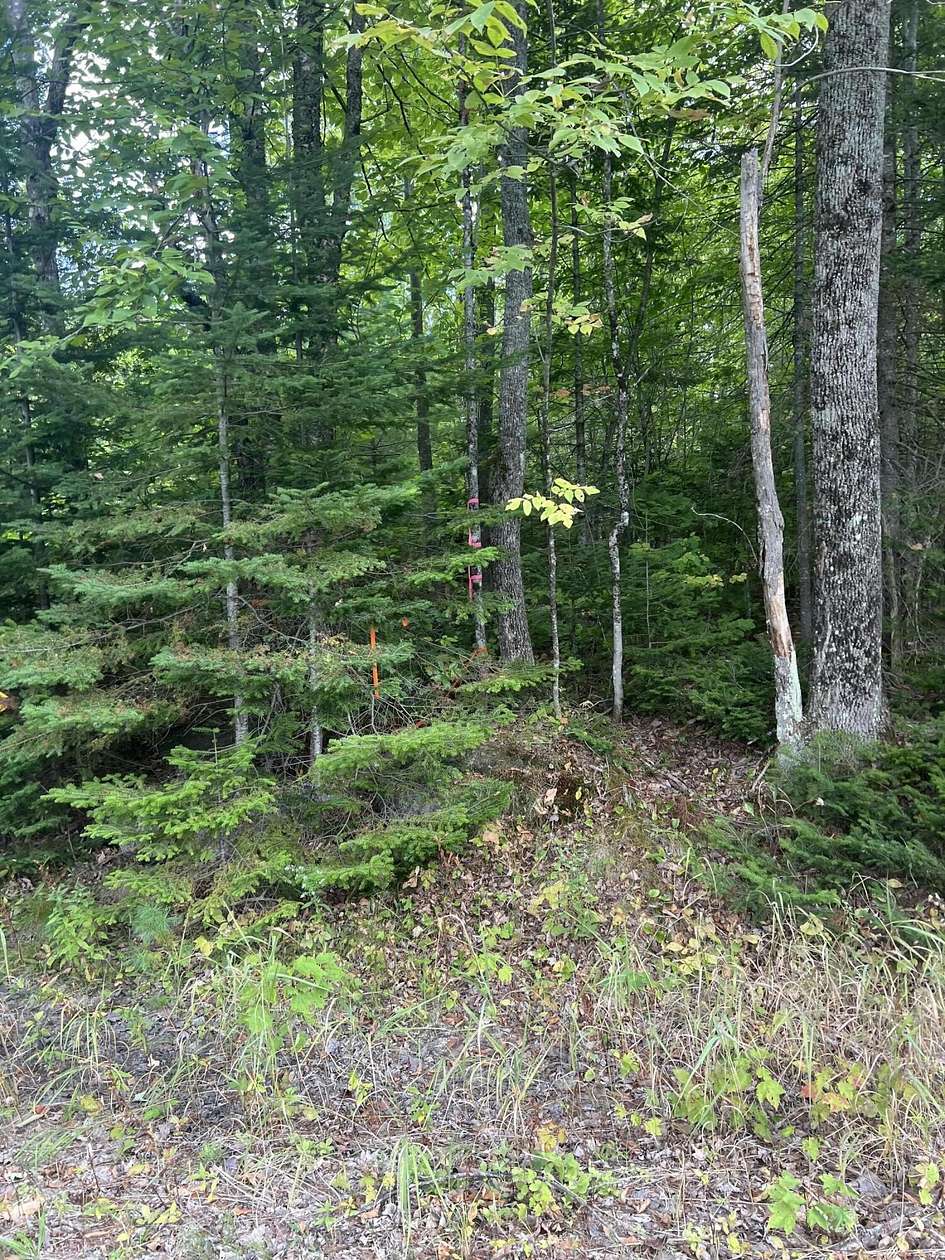 6.29 Acres of Residential Land for Sale in Brownville, Maine