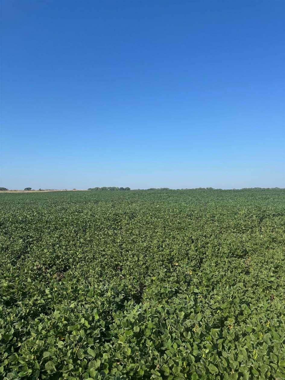 65.6 Acres of Agricultural Land for Sale in Bennington, Kansas