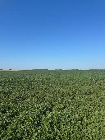 65.6 Acres of Agricultural Land for Sale in Bennington, Kansas
