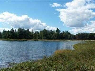 0.7 Acres of Residential Land for Sale in Canadian Lakes, Michigan
