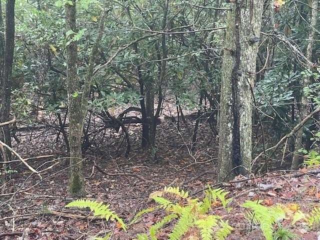 2 Acres of Residential Land for Sale in Pisgah Forest, North Carolina