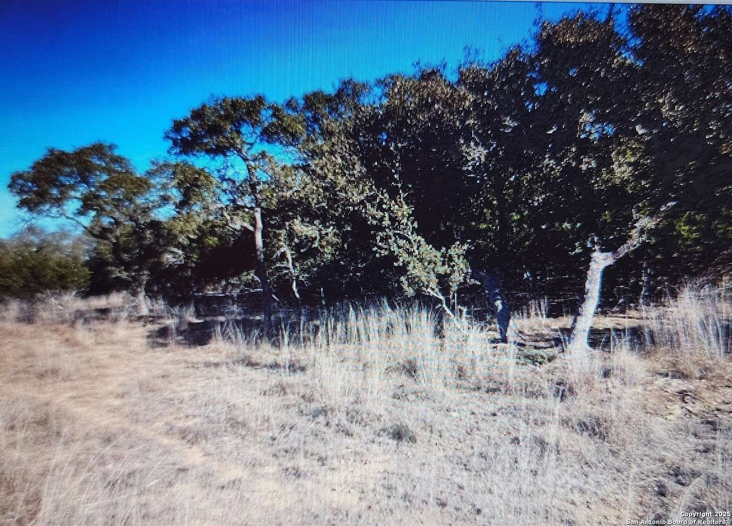 0.33 Acres of Residential Land for Sale in Blanco, Texas